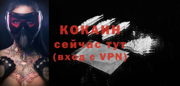 прущие грибы Баксан